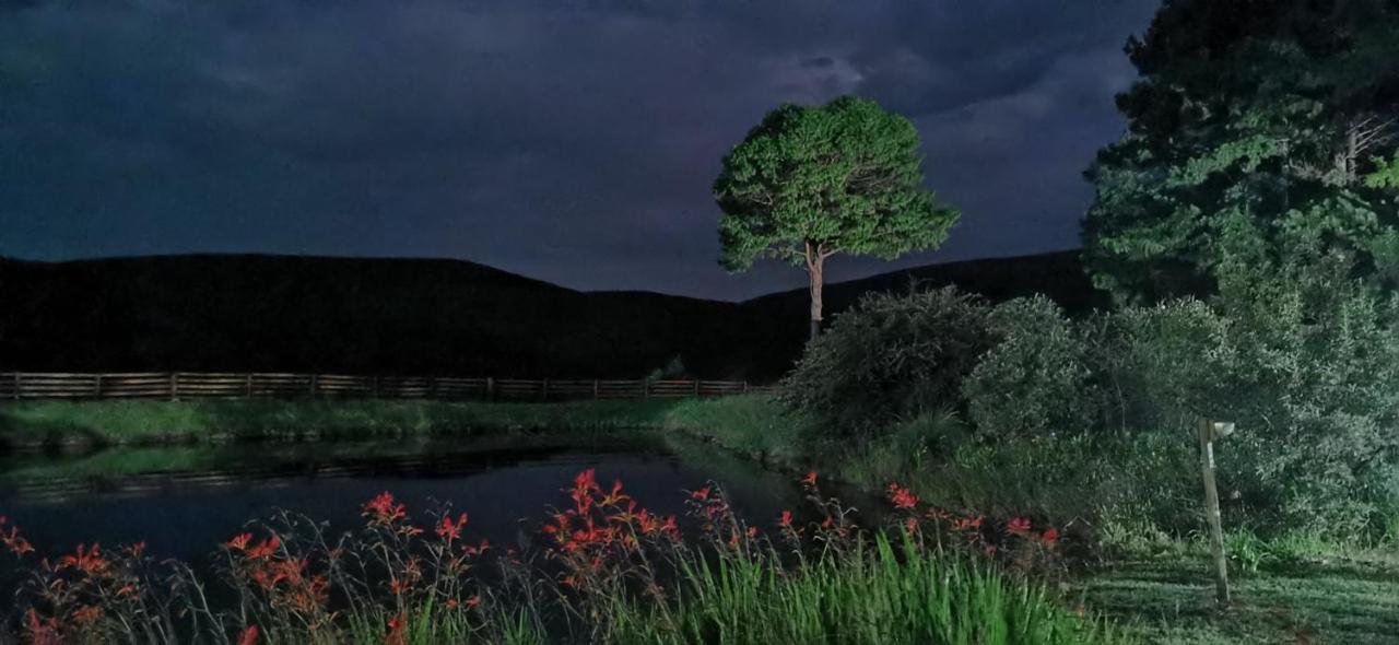ホテル Nguni Moon Tepee Camp アンダーバーグ エクステリア 写真