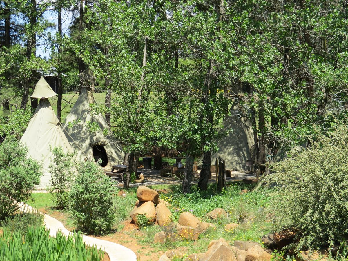 ホテル Nguni Moon Tepee Camp アンダーバーグ エクステリア 写真