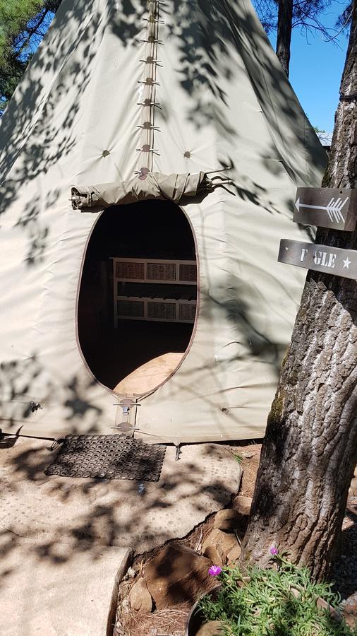 ホテル Nguni Moon Tepee Camp アンダーバーグ エクステリア 写真