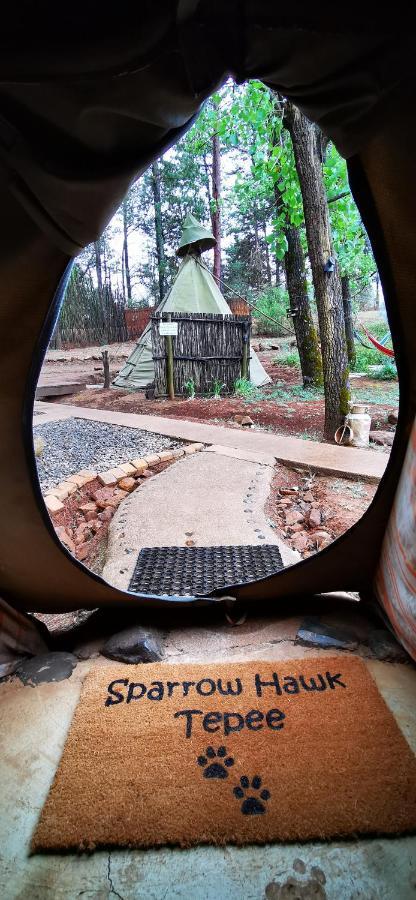ホテル Nguni Moon Tepee Camp アンダーバーグ エクステリア 写真