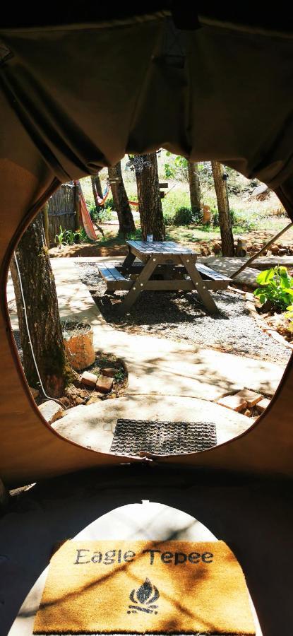 ホテル Nguni Moon Tepee Camp アンダーバーグ エクステリア 写真